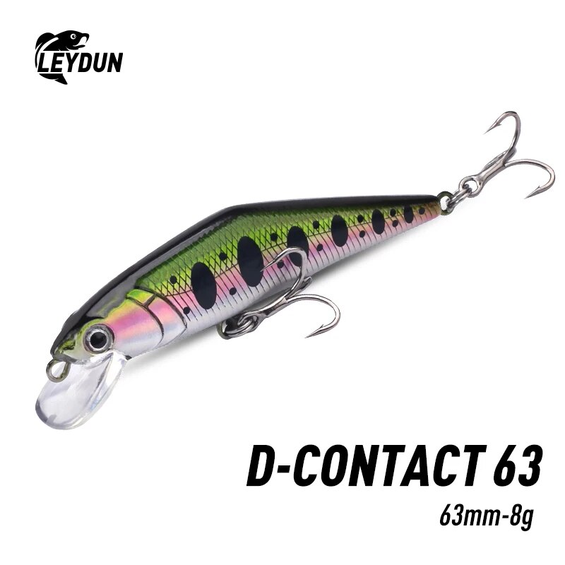 LEYDUN Giappone Pesca Stream R - Fishing Equipment Japan recensione e prezzo